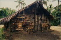 Papua Hut PNG1