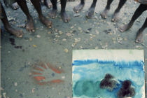 bio Papua Feet and Handprint PNG